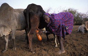 Trekking in Africa